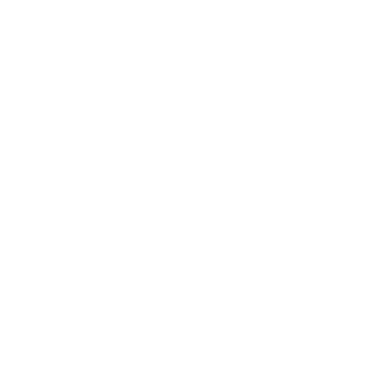 WordPress Expert